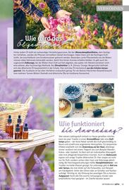 Combi folder Pagina 65