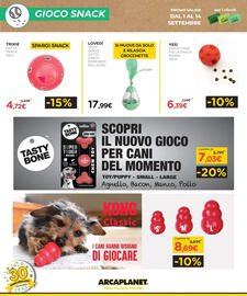 Volantino Arcaplanet Pagina 22