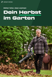 Lidl Flugblatt Seite 4