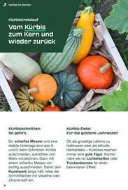 Lidl Flugblatt Seite 8