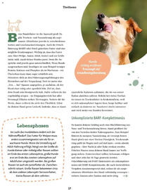 Fressnapf Flugblatt Seite 17