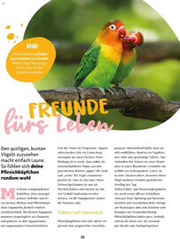Fressnapf Flugblatt Seite 26