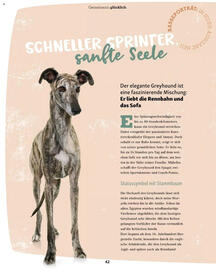 Fressnapf Flugblatt Seite 42