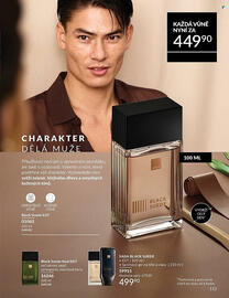 Avon leták Strana 113