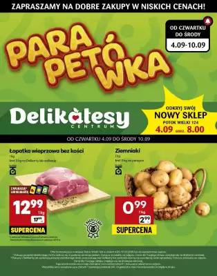 Delikatesy Centrum gazetka (ważność do 10-09)