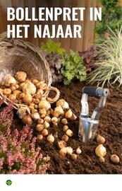 GroenRijk folder | Inspiratiemagazine Pagina 10