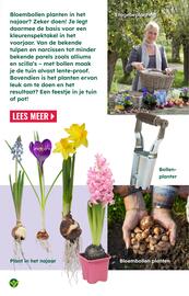 GroenRijk folder | Inspiratiemagazine Pagina 11