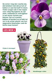 GroenRijk folder | Inspiratiemagazine Pagina 13