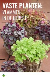 GroenRijk folder | Inspiratiemagazine Pagina 4