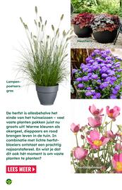 GroenRijk folder | Inspiratiemagazine Pagina 5