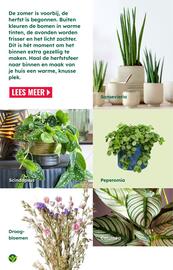 GroenRijk folder | Inspiratiemagazine Pagina 7