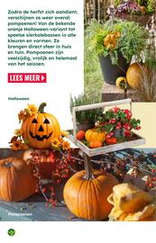 GroenRijk folder | Inspiratiemagazine Pagina 9