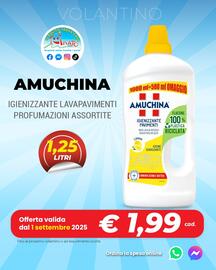 Volantino Amato Point settimana 36 Pagina 2