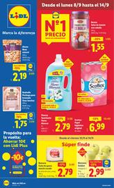 Folleto Lidl semana 37 Página 1