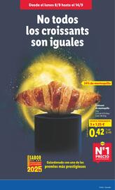Folleto Lidl semana 37 Página 15