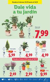 Folleto Lidl semana 37 Página 35