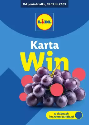 Lidl gazetka (ważność do 27-09)
