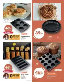 Catalogue Guy Demarle page 13