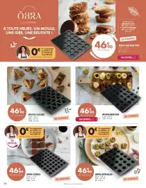 Catalogue Guy Demarle page 16