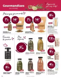 Catalogue Guy Demarle page 54