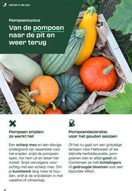 Lidl folder Pagina 8
