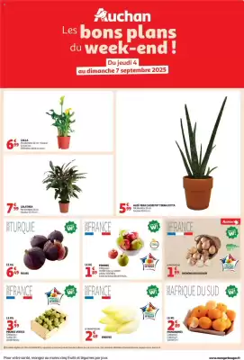 Auchan folder (geldig t/m 7-09)