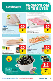 Carrefour folder Pagina 11