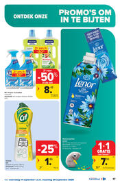 Carrefour folder Pagina 17
