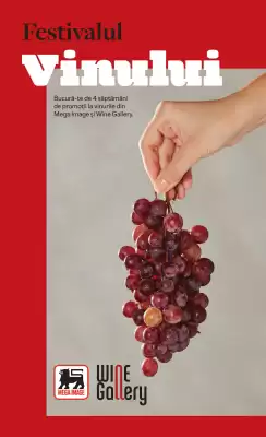 Catalog Mega Image (valid până la 30-09)