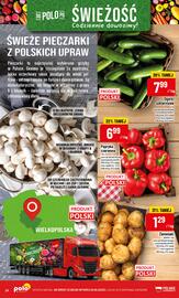 Polomarket gazetka tydzień 36 Strona 24