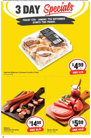 IGA catalogue Page 2