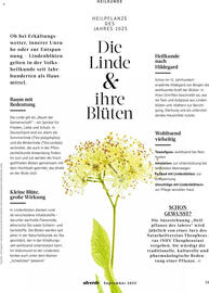 Dm drogerie Magazin Seite 59