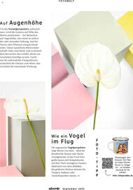 Dm drogerie Magazin Seite 91