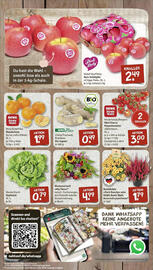 Rewe DE folder week 36 Pagina 3