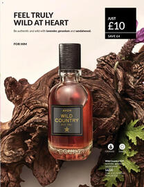 Avon catalogue Page 100