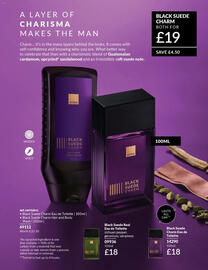 Avon catalogue Page 104
