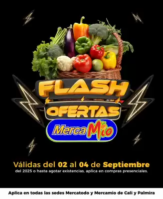 catálogo MercaTodo (válido hasta 4-09)