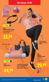 Lidl gazetka Strona 51