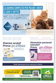 Volantino L´Isola dei Tesori Pagina 16