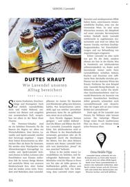 Rossmann Magazin Seite 84