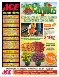 Ace Hardware flyer Page 1