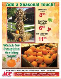 Ace Hardware flyer Page 11