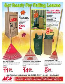 Ace Hardware flyer Page 4