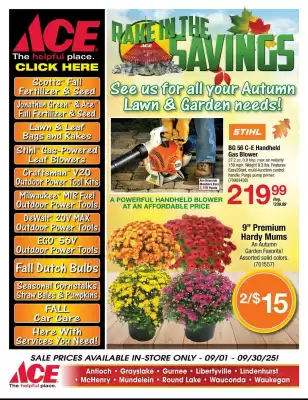 Ace Hardware flyer