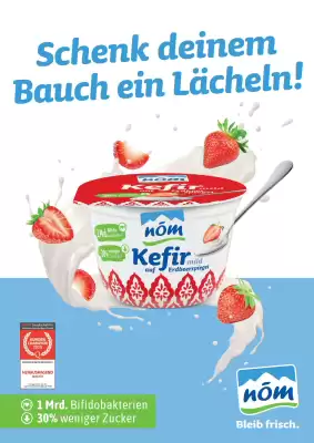 NÖM Flugblatt (gültig bis 4-09)
