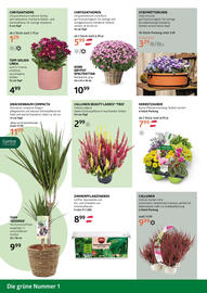 Bellaflora Flugblatt Seite 2