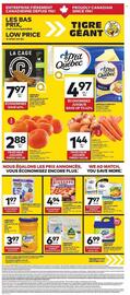 Giant Tiger flyer week 36 Page 1