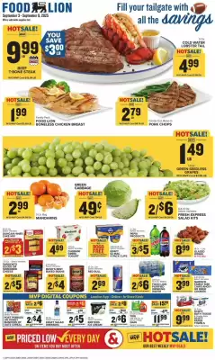 Food Lion weekly ad