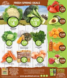 Spudshed catalogue week 36 Page 17