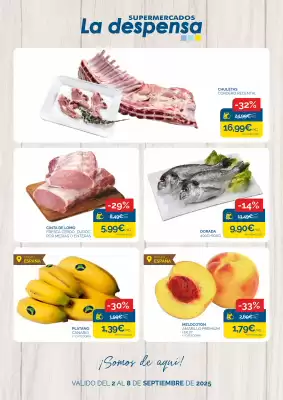 folleto Supermercados La Despensa (válido hasta el 8-09)